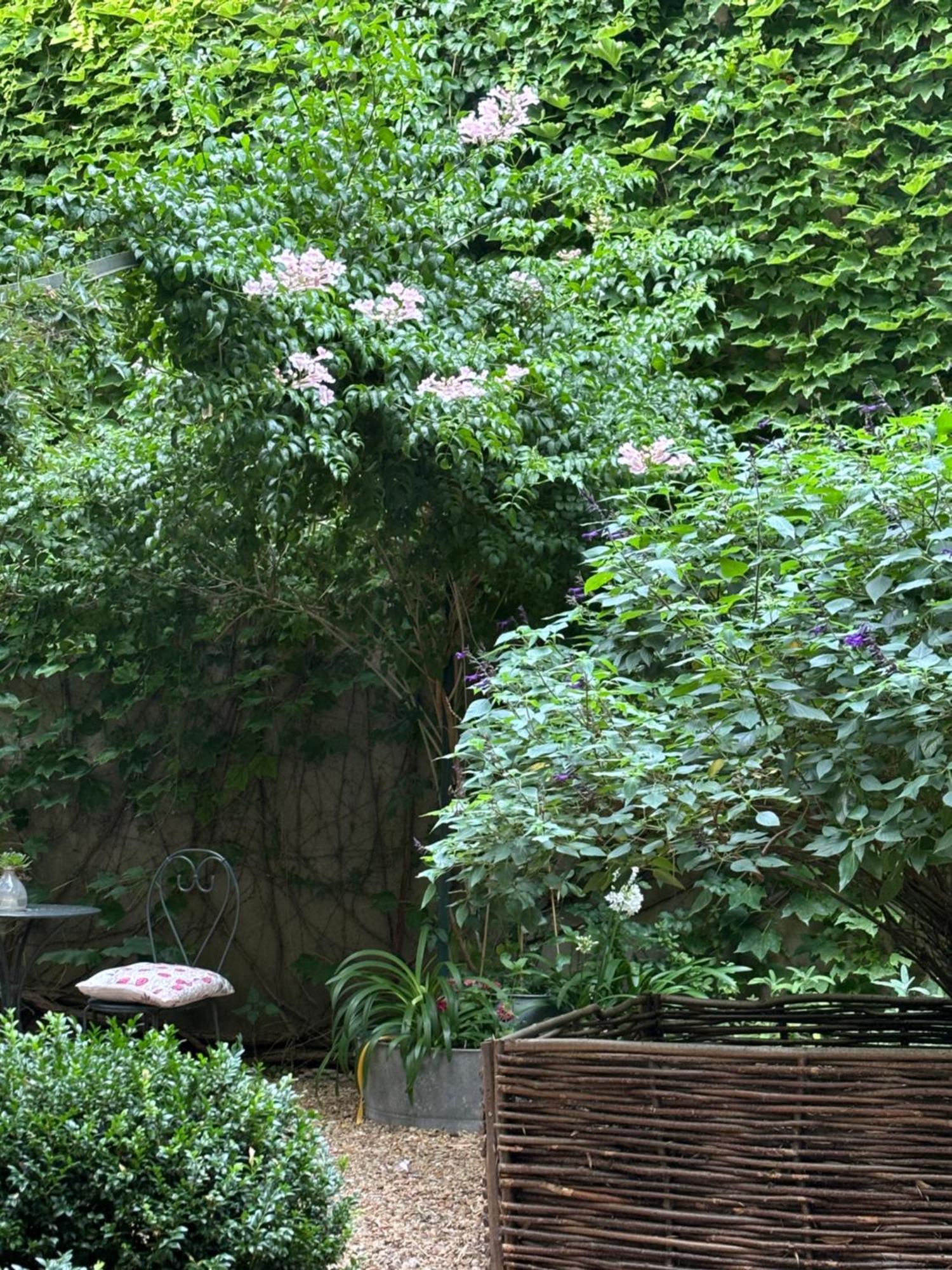 Le Logis Blanc Bed&Breakfast Coursan Eksteriør bilde